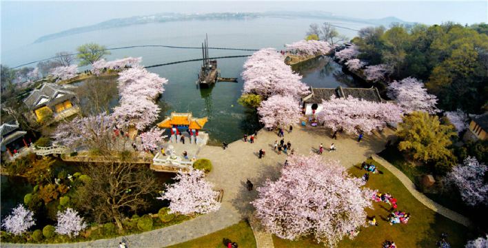 江苏鼋头渚南长街一日游纯玩纯玩无购物赠送樱花影院观影