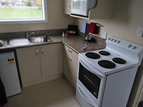 与她make&nbsp;friend&nbsp;with&nbsp;her,说我买了羊排,需要用厨房.