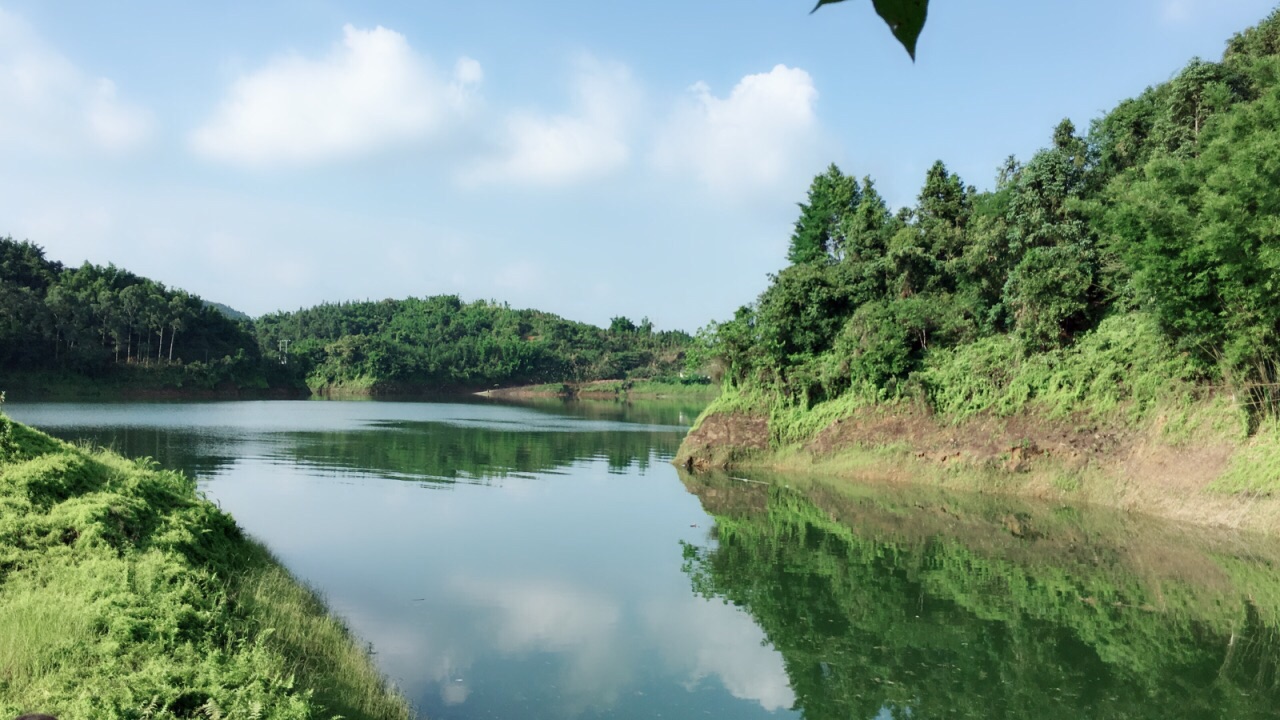 花滩森林公园