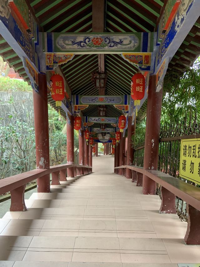 江门茶庵寺攻略,江门茶庵寺门票/游玩攻略/地址/图片/门票价格【携程
