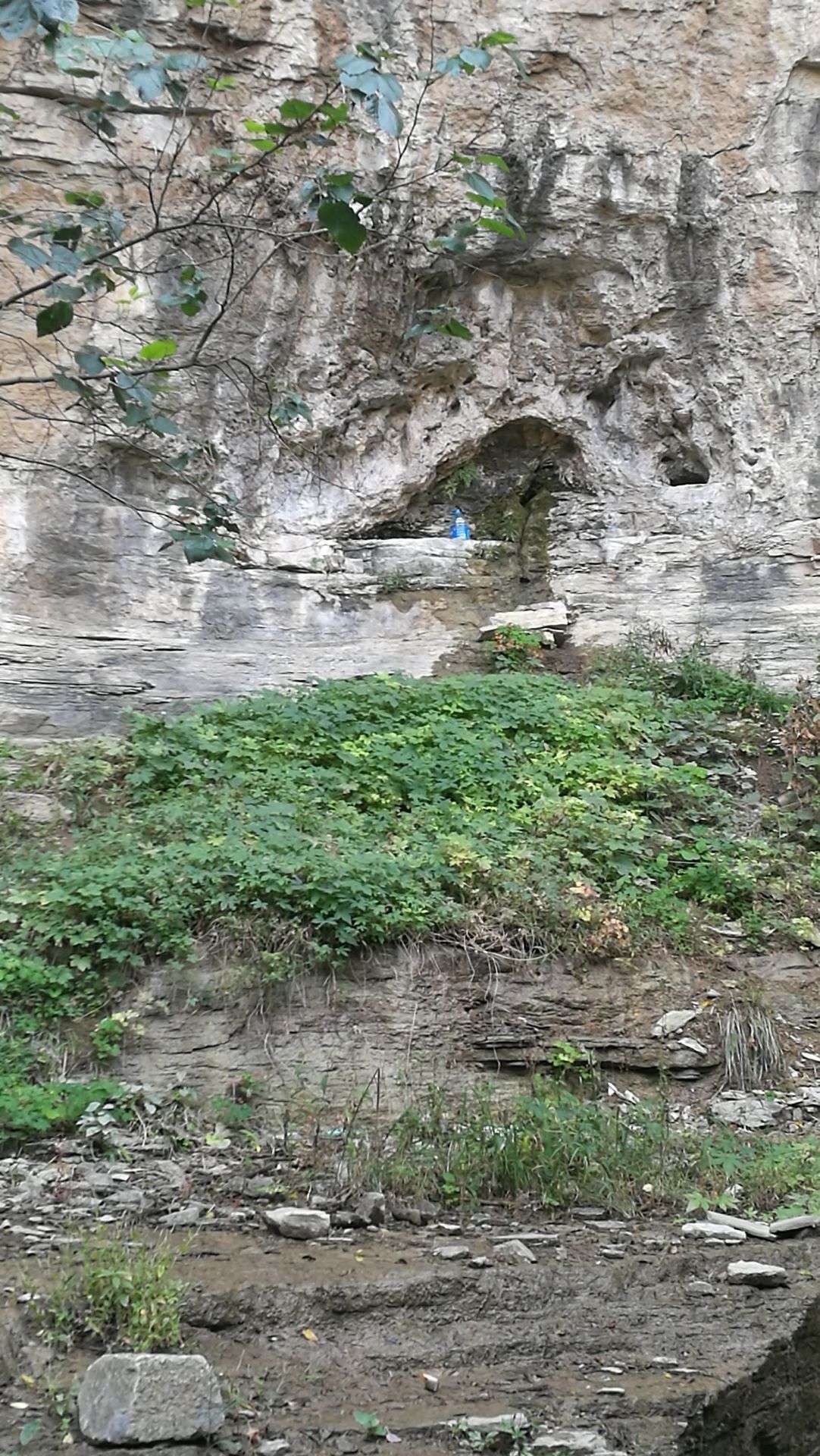 龙藏洞生态景区