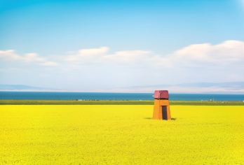 塔尔寺+青海湖+拉脊山+日月山一日游【包车游•可上门接送】【1，达人带队，精选线路，深度体验，创新玩法，贴心管家，摄影帮手，路上美景随走随停！】