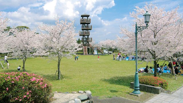 鹿儿岛县立吉野公园