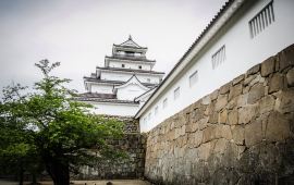 福岛县天气预报 历史气温 旅游指数 福岛县一周天气预报 携程攻略