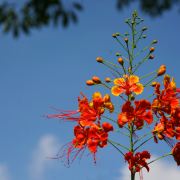 深圳东湖公园攻略,东湖公园门票\/游玩攻略\/地址