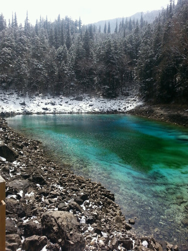 三月到九寨沟去看雪