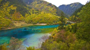 hellorf_2234940056
