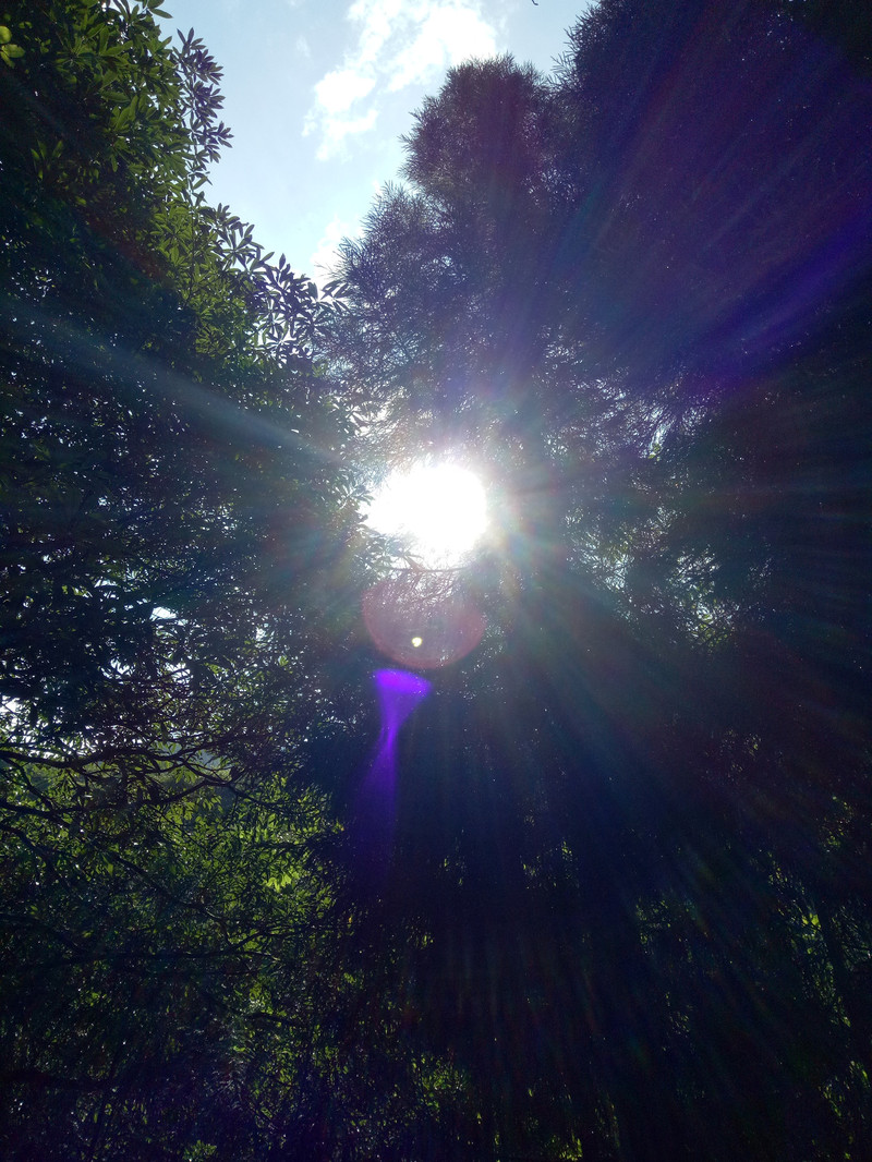 见山是山,见山不是山,见山仍是山