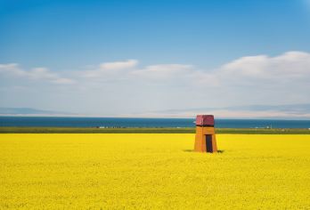 茶卡盐湖+日月山+青海湖二郎剑一日游【商务小团/上门接送】【全程车览景观： 湟源峡谷 橡皮山 黑马河 倒淌河 一路走一路看】