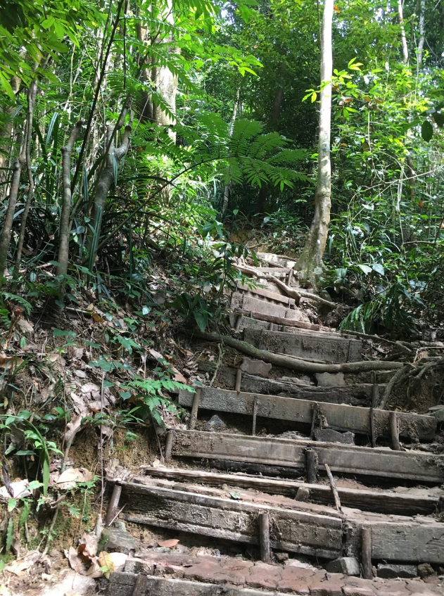 咖啡山森林保护公园