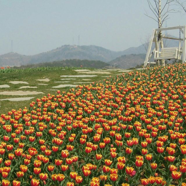 旅順口區英歌石植物園攻略,旅順口區英歌石植物園門票/遊玩攻略/地址