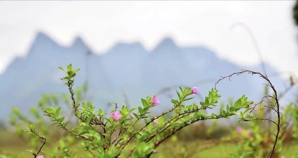 桂林漓江风景名胜区