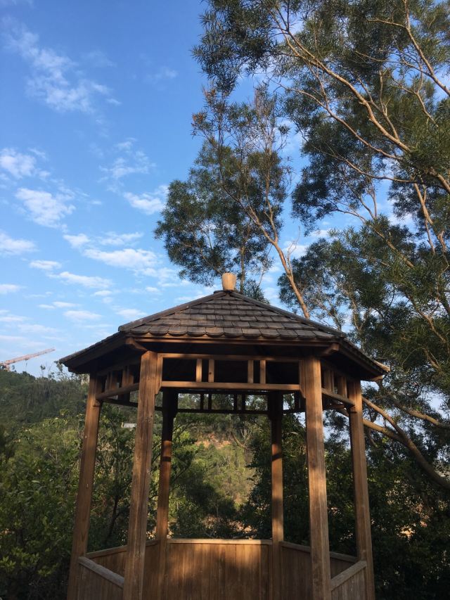 黑沙水库郊野公园