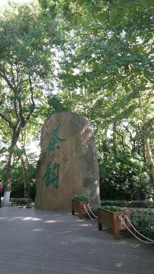 雨花茶文化区