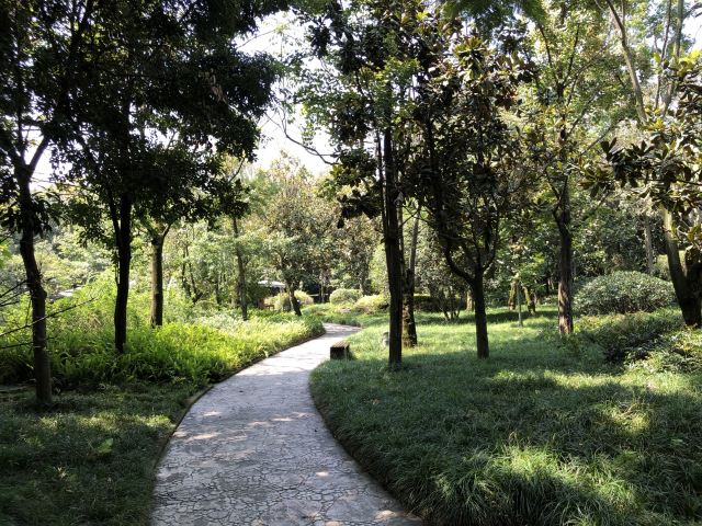 成都苏坡公园攻略,成都苏坡公园门票/游玩攻略/地址/图片/门票价格