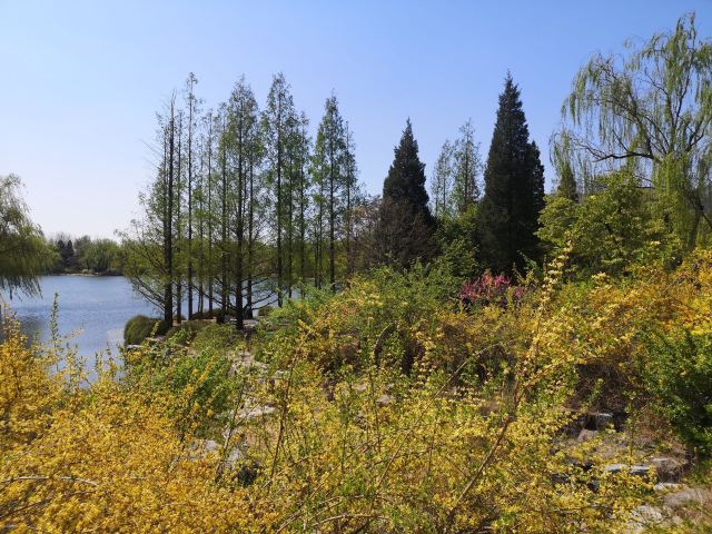 北京北京植物園攻略,北京北京植物園門票/遊玩攻略/地址/圖片/門票