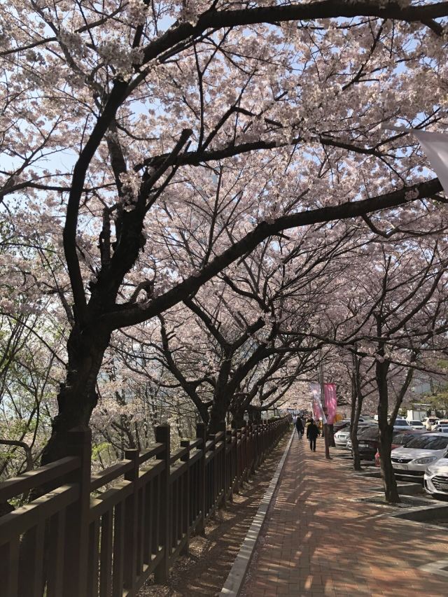 釜山赏月路图片