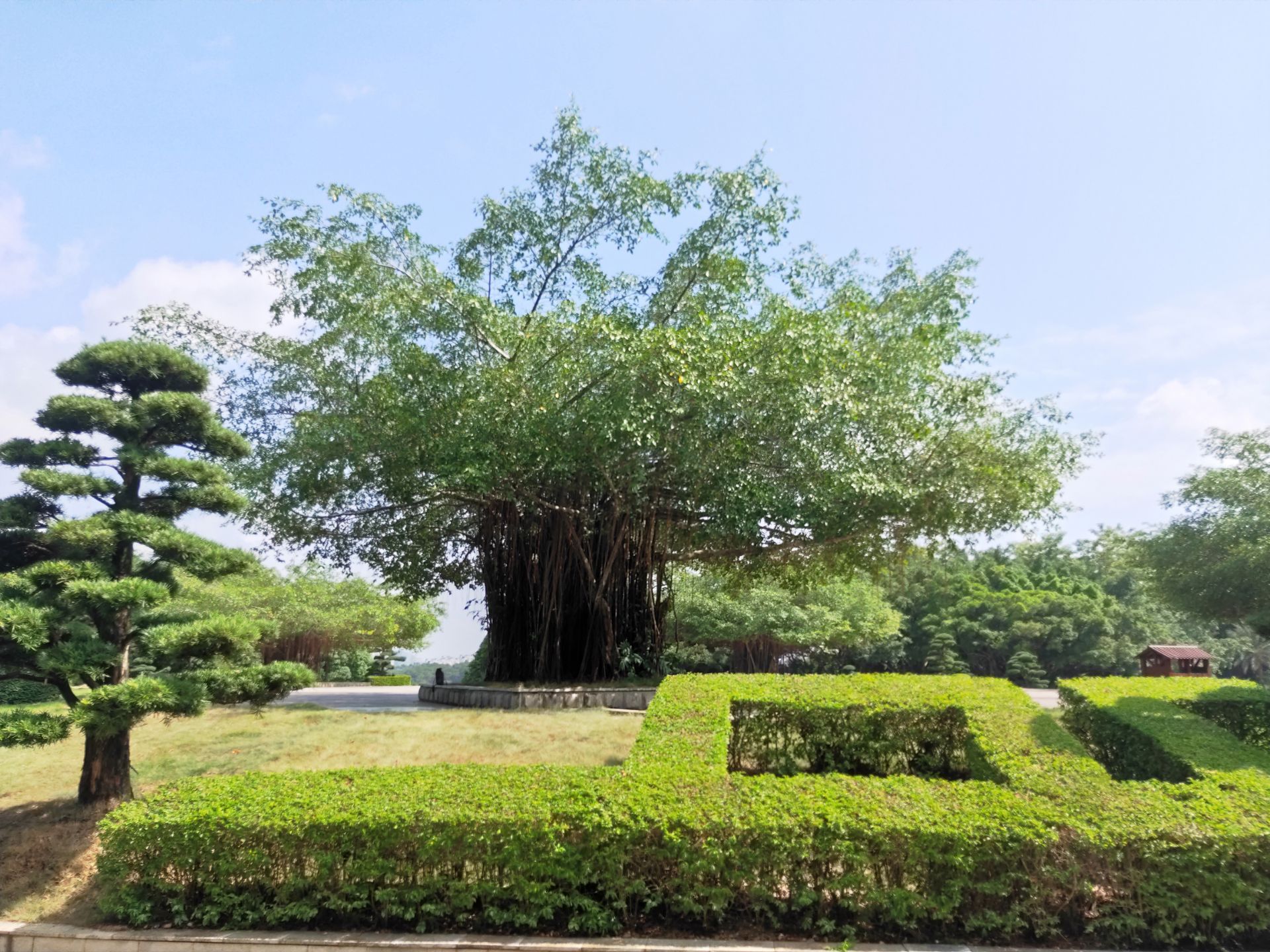 壮锦广场