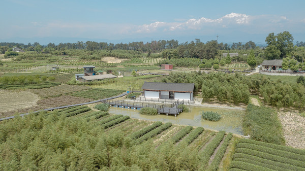 蒲江明月村丨藍染陶瓷民宿美食同清風明月共賞之