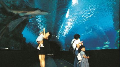 coex水族館-hana (3)