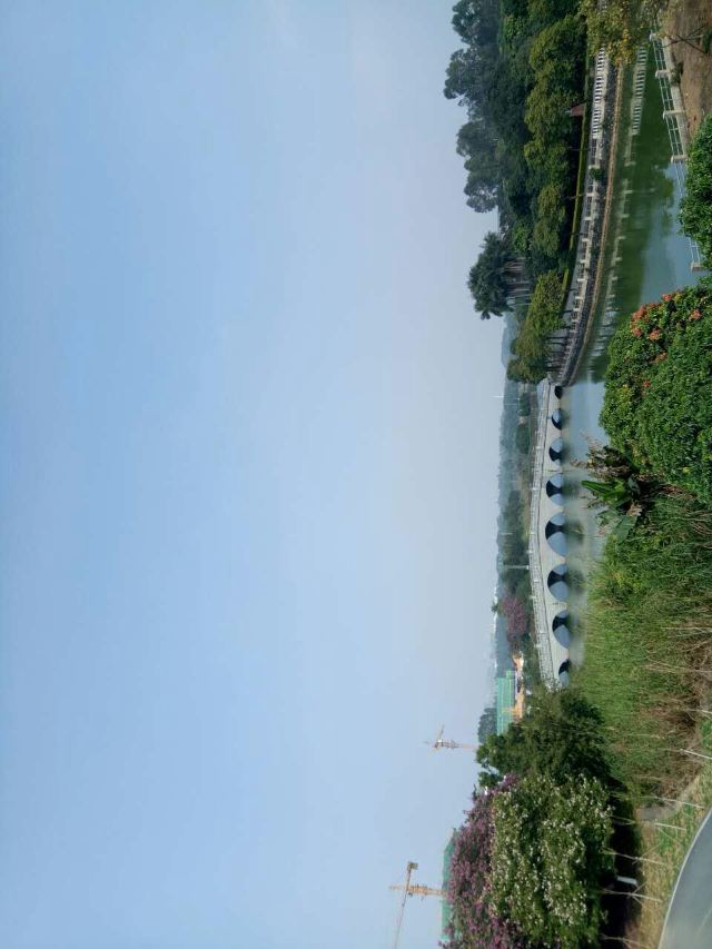 松湖蝶恋生态园