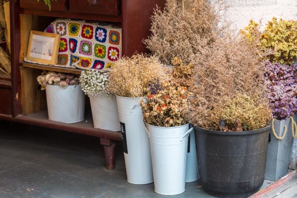 脚踏彩云之南,阅读时光的印记,丽江大理十日--