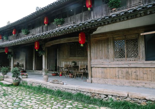 四月苍南,春光里的茶园古村之旅