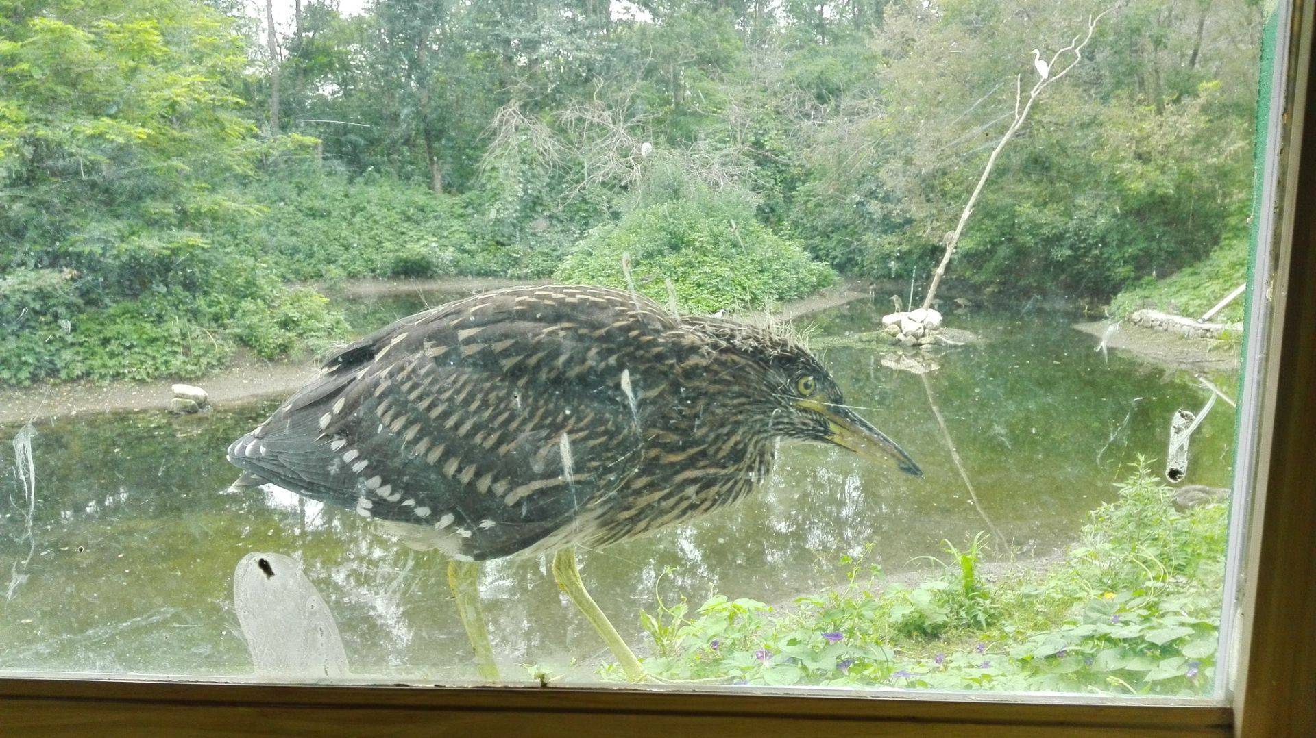 月牙湾湿地公园