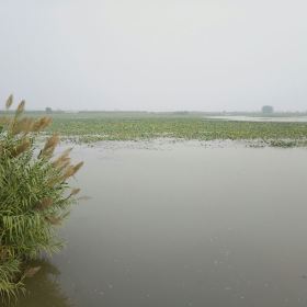 泗洪洪泽湖湿地公园_泗洪湿地公园门票收入