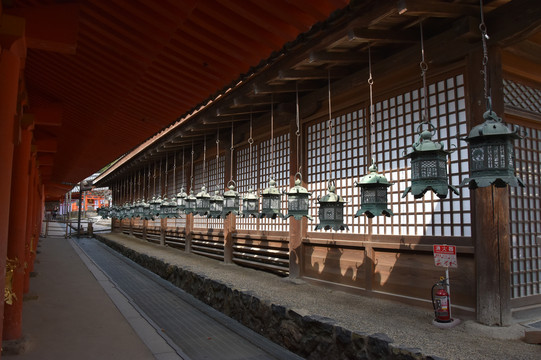 日本我来啦!大阪,奈良,神户,姬路城,京都9日深度游,美照美景无数