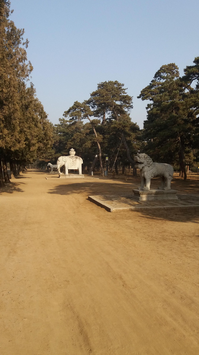 狮子戏球风水宝地 狮子戏球风水图片