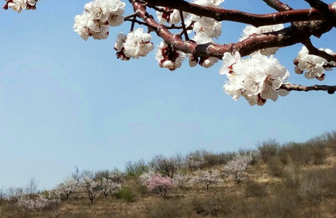 大连周边旅游,瓦房店龙门汤国家森林公园,石湖
