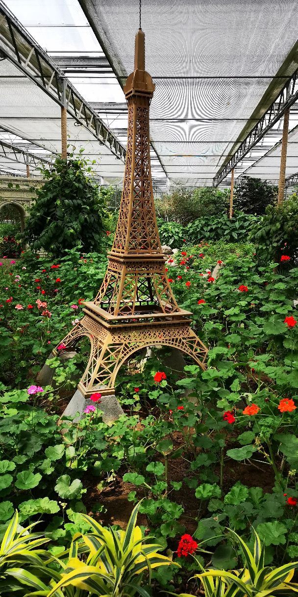 南宫地热博览园