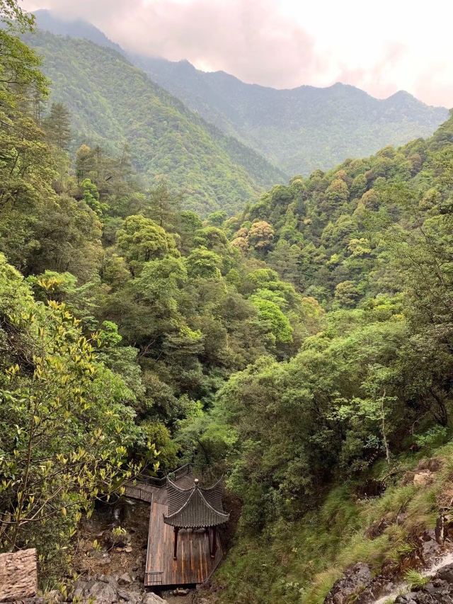 巾子峰森林公园图片