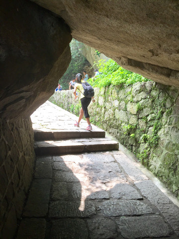 华山医院皮肤科_华山挑夫收入