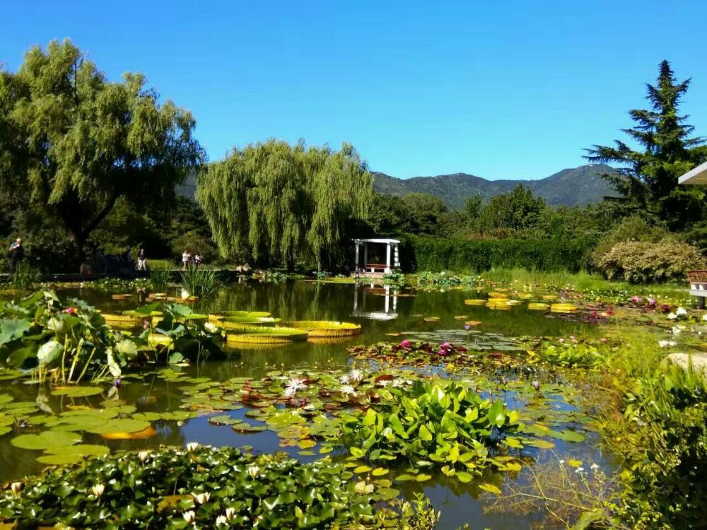 中国科学院华西亚高山植物园