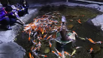 郑州海洋馆 (8)