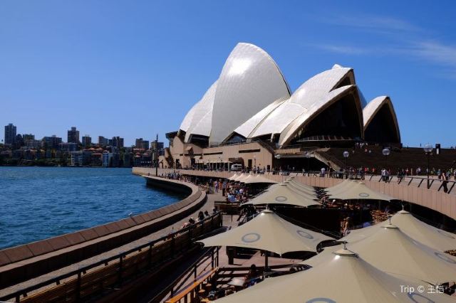 Sydney Opera House A Detailed Guide Travel Notes And Guides