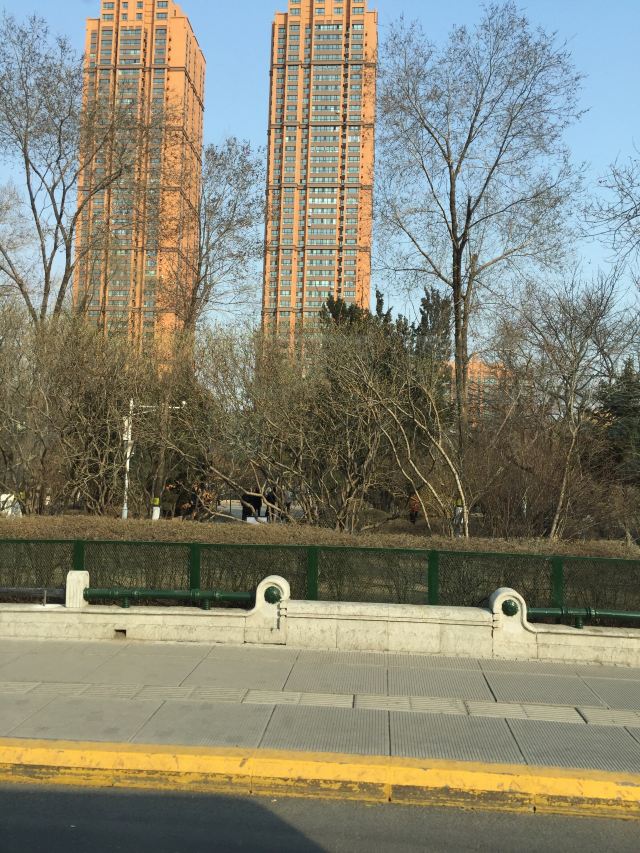 哈尔滨清滨公园攻略,哈尔滨清滨公园门票/游玩攻略/地址/图片/门票价