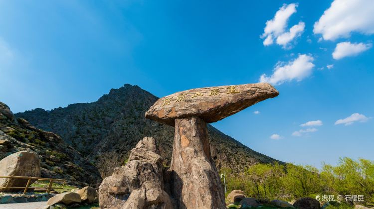 银川经典3日游最佳路线推荐-province=宁夏;ci