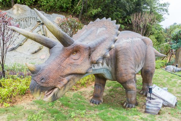 重游重庆,去抖音最火的地方打卡【首发】