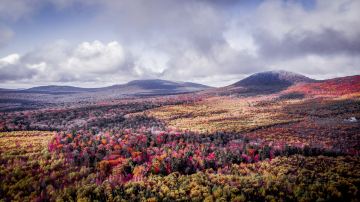 DJI_0120