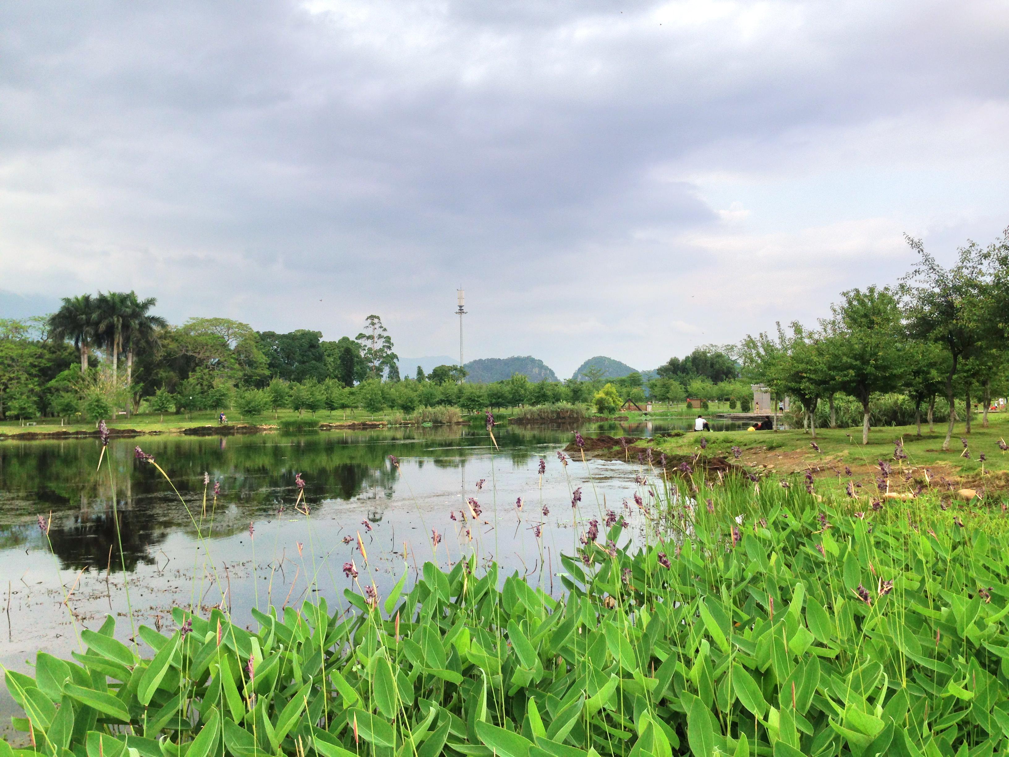 南湖湿地公园