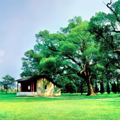 江西瑞金沙洲坝红井叶坪+二苏大景区一日活动【含车、导游、门票】