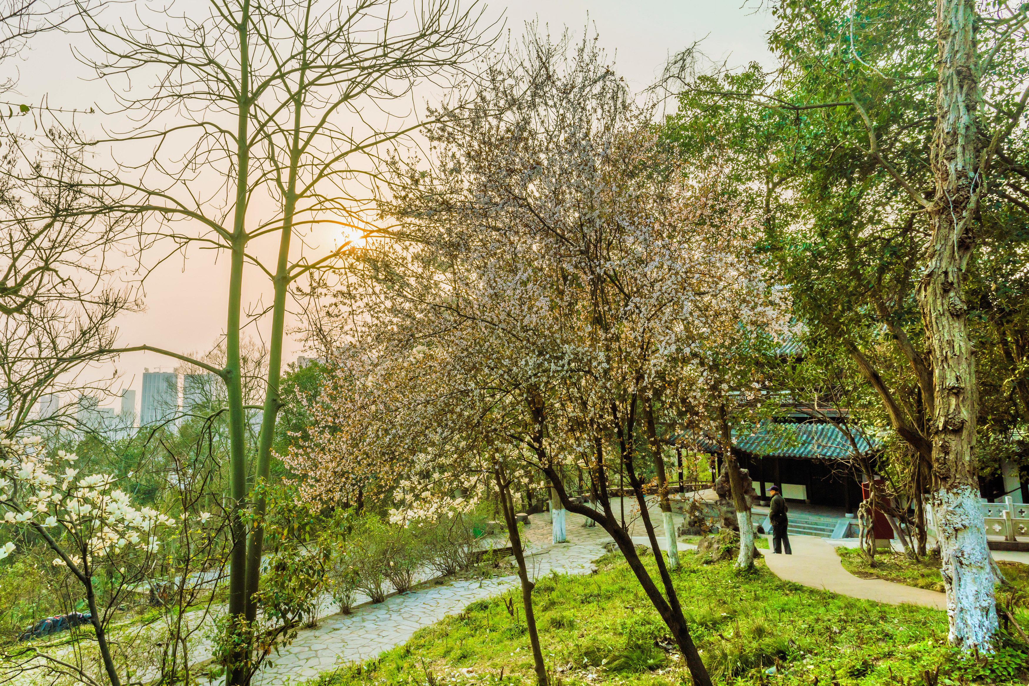 赭山风景区