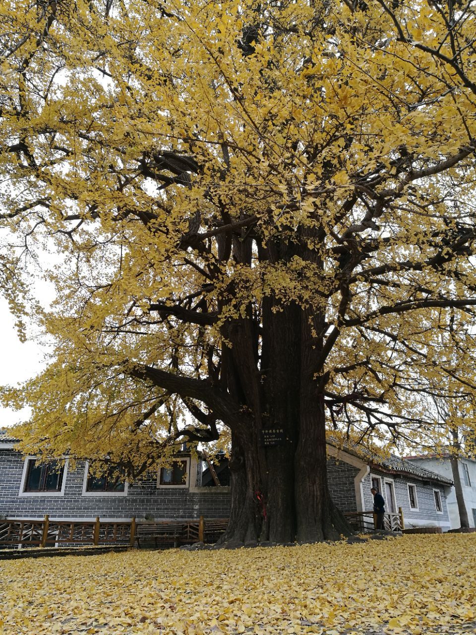 麦懂绿岛风景区