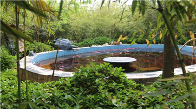 陕西未央湖大酒店2晚 渭水汤苑温泉门票2张(价值:188元/张)