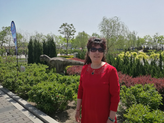 塘沽航母主题公园,滦州古城,遵化清东陵,行程两