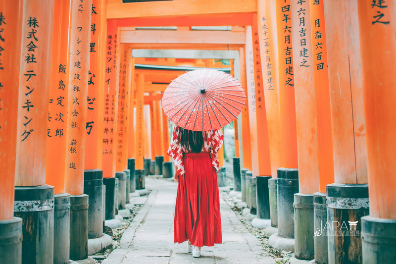 京都花见 总有樱花在等你 冷门赏樱秘所大公开 天鹅之旅 京都花见 总有樱花在等你 冷门赏樱秘所大公开 天鹅之旅