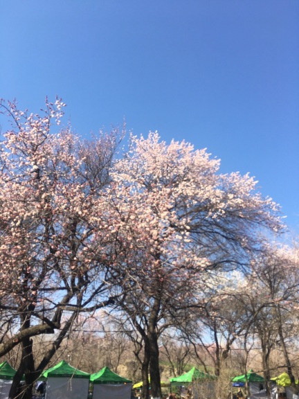 伊宁城市海景公园